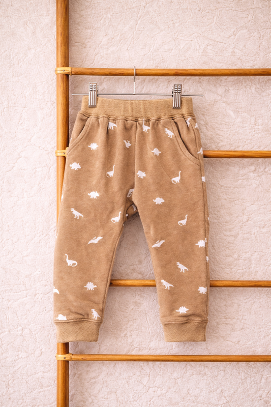 Dino Days Jogger