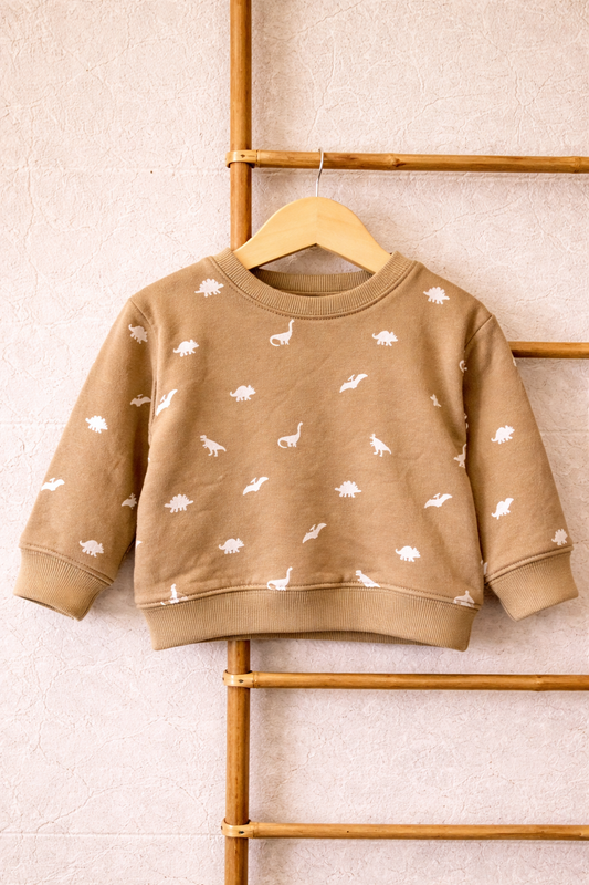 Dino Days Sweatshirt